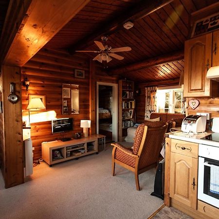 Rustic Log Cabin In Snowdonia By Seren Short Stays Trawsfynydd 외부 사진