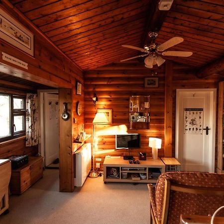 Rustic Log Cabin In Snowdonia By Seren Short Stays Trawsfynydd 외부 사진