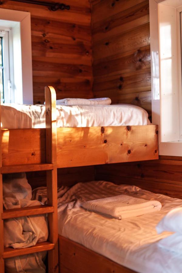 Rustic Log Cabin In Snowdonia By Seren Short Stays Trawsfynydd 외부 사진