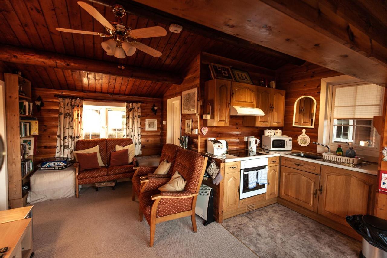 Rustic Log Cabin In Snowdonia By Seren Short Stays Trawsfynydd 외부 사진